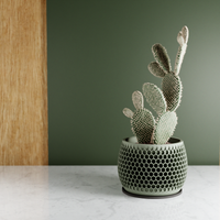 Honeycomb Succulent Planter With Drip Tray, Unique Flower Pot Home Decor, Housewarming Gift for Her, Medium, Natural Wood