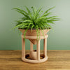 Unique Odyssey Planter and Flower Pot Home Decor, Housewarming Gift for Her, Natural Wood, 8" Diameter