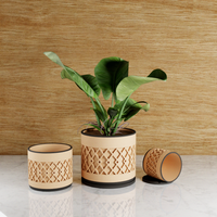 Succulent Planter With Drip Tray, Unique Flower Pot Home Decor, Housewarming Gift for Her, Small, Muted White Color