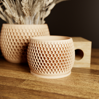 Honeycomb Succulent Planter With Drip Tray, Unique Flower Pot Home Decor, Housewarming Gift for Her, Medium, Muted White Color