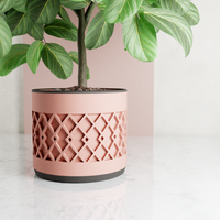 Succulent Planter With Drip Tray, Unique Flower Pot Home Decor, Housewarming Gift for Her, Large, Muted White Color