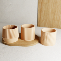 Bamboo Succulent Planter Set With Drip Tray | Unique Flower Pot, Home Decor Housewarming Gift for Her | Muted Green