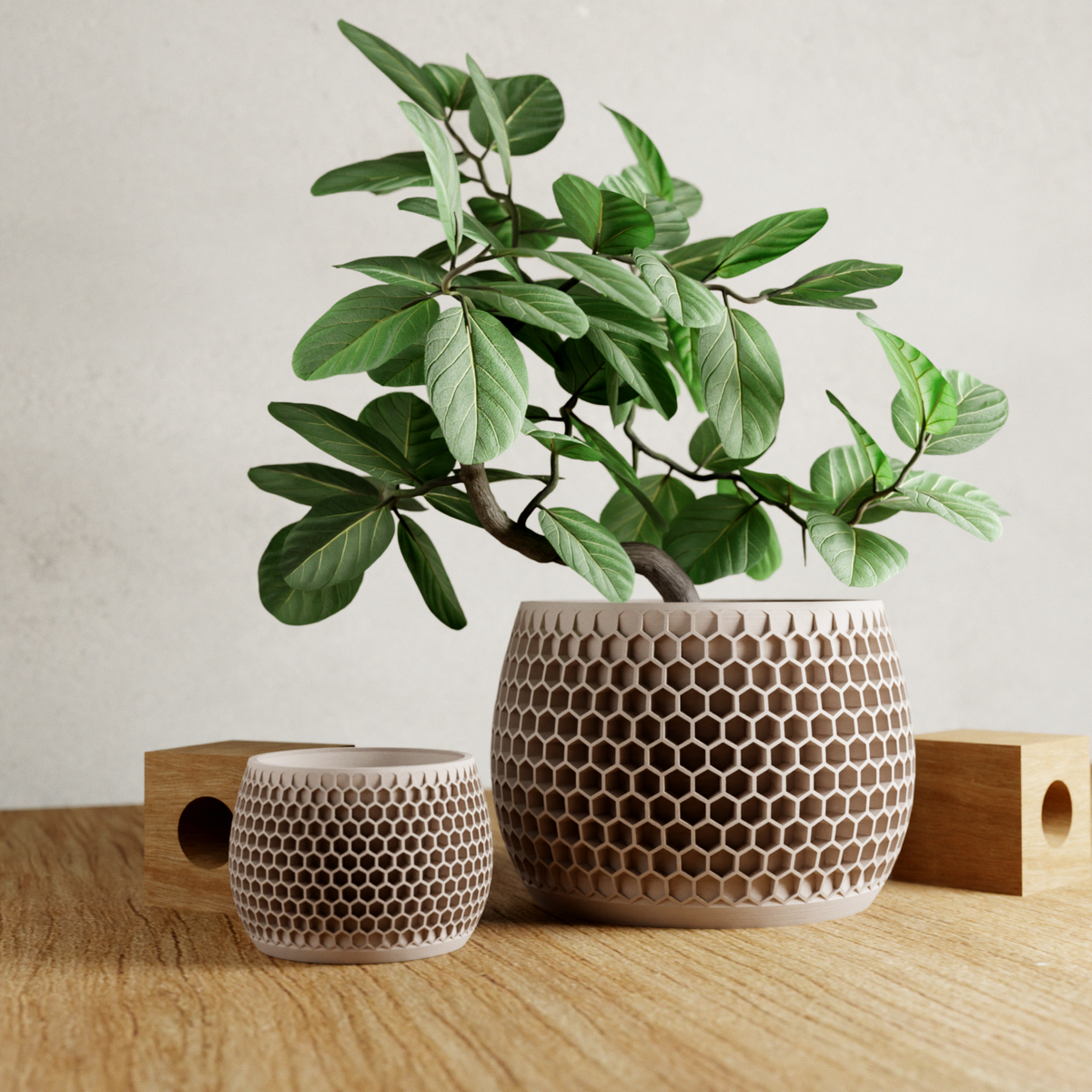 Honeycomb Succulent Planter With Drip Tray, Unique Flower Pot Home Decor, Housewarming Gift for Her, Medium, Natural Wood
