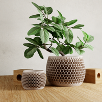 Honeycomb Succulent Planter With Drip Tray, Unique Flower Pot Home Decor, Housewarming Gift for Her, Medium, Natural Wood