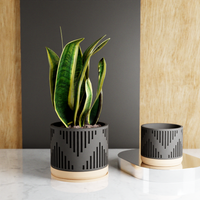 Heritage Succulent Planter With Drip Tray, Unique Flower Pot Home Decor, Housewarming Gift for Her, Small, Forest Green Color