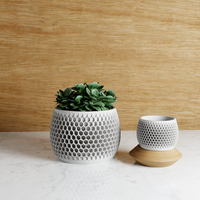 Honeycomb Succulent Planter With Drip Tray, Unique Flower Pot Home Decor, Housewarming Gift for Her, Small, Muted White Color