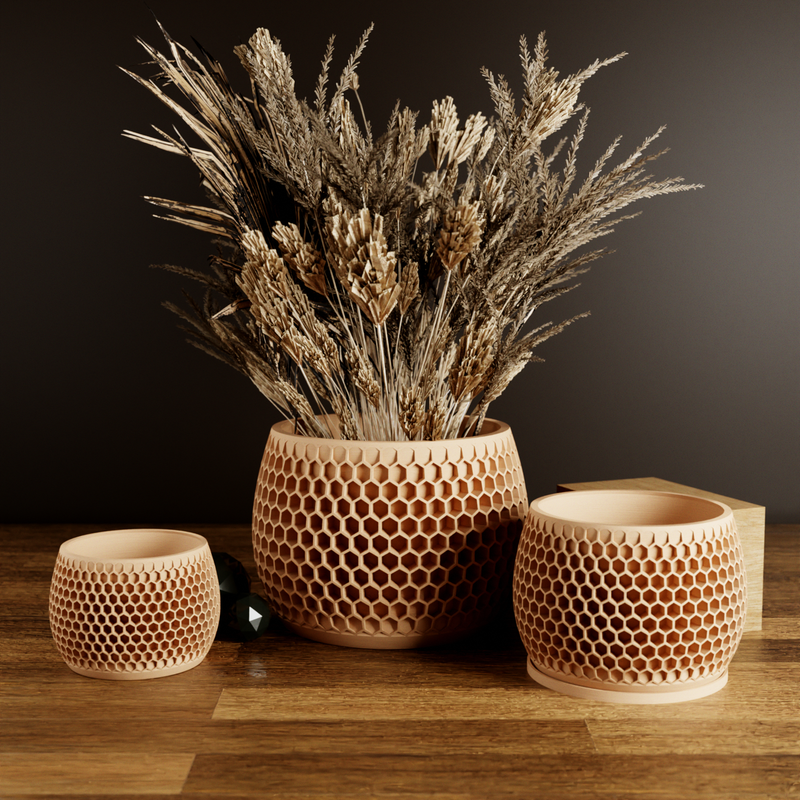 Honeycomb Succulent Planter With Drip Tray, Unique Flower Pot Home Decor, Housewarming Gift for Her, Large, Natural Wood