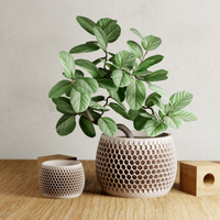 Honeycomb Succulent Planter With Drip Tray, Unique Flower Pot Home Decor, Housewarming Gift for Her, Medium, Muted White Color