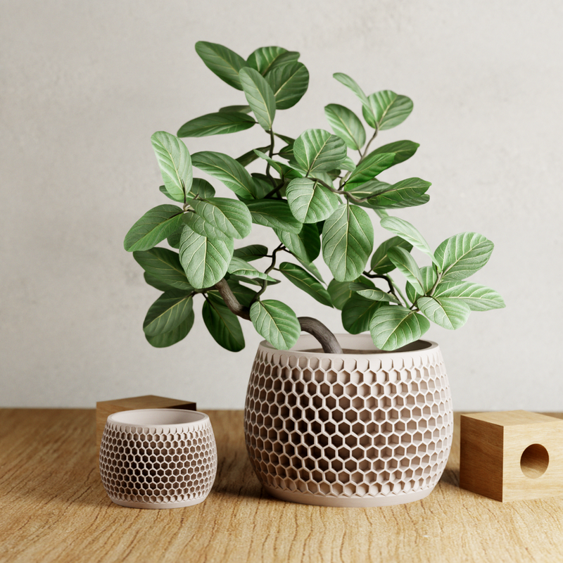 Honeycomb Succulent Planter With Drip Tray, Unique Flower Pot Home Decor, Housewarming Gift for Her, Medium, Muted White Color