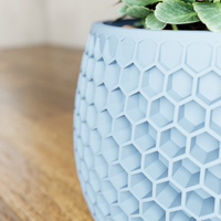 Honeycomb Succulent Planter With Drip Tray, Unique Flower Pot Home Decor, Housewarming Gift for Her, Medium, Natural Wood