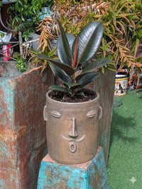 Atzompa Face Planter | Handmade Mexican Pottery | Artisan Flower Pot Home Decor