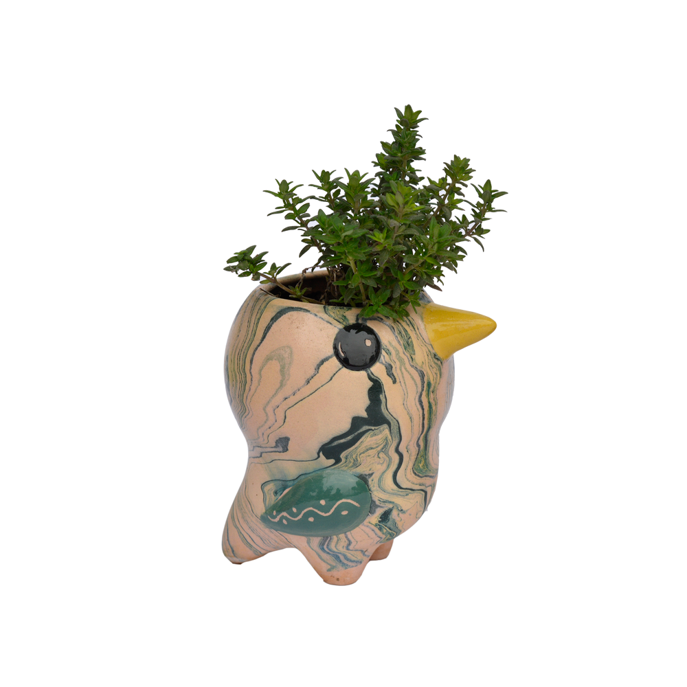 Bird Planter Pot, Swirly Pio Bird, Ceramic Flower Pot, Small Planter Pot, Bird Decor Housewarming Gift for Her