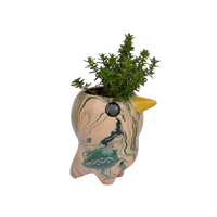 Bird Planter Pot, Swirly Pio Bird, Ceramic Flower Pot, Small Planter Pot, Bird Decor Housewarming Gift for Her