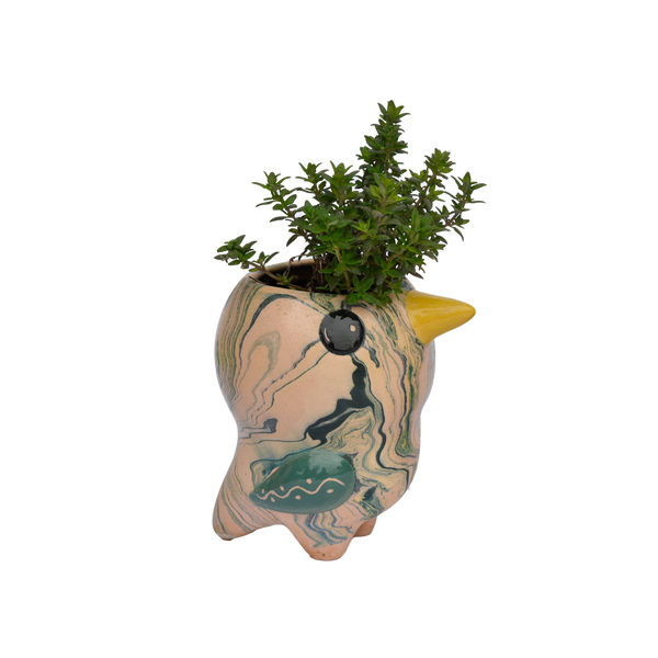 Bird Planter Pot, Swirly Pio Bird, Ceramic Flower Pot, Small Planter Pot, Bird Decor Housewarming Gift for Her