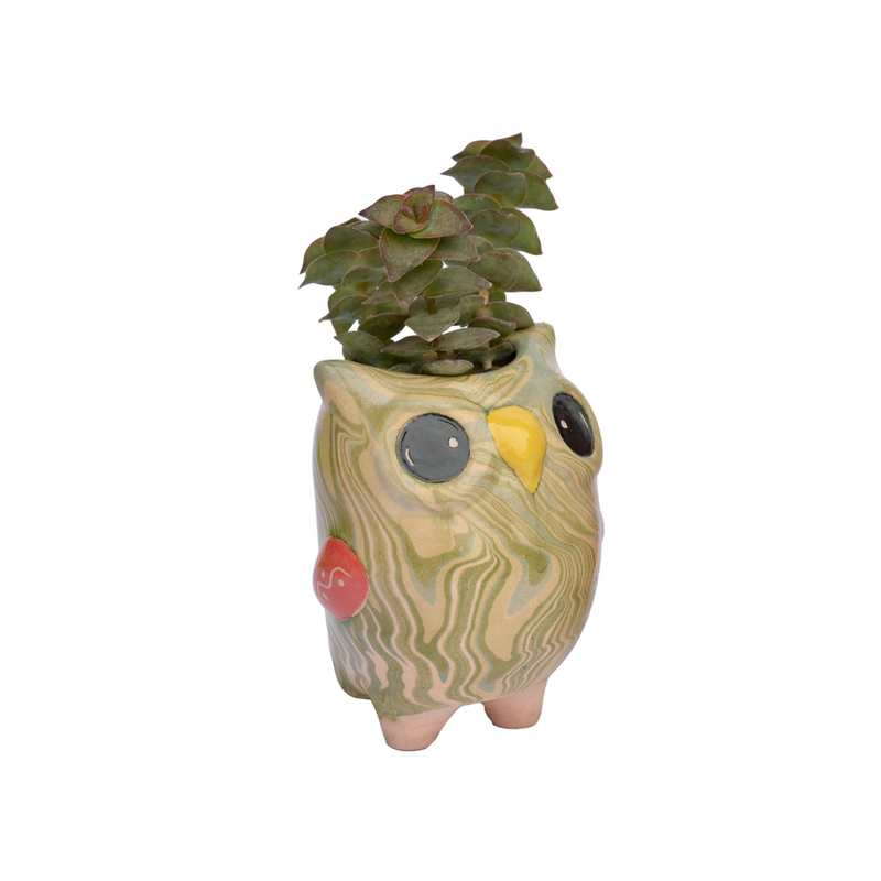 Bird Planter Pot, Swirly Owl, Ceramic Flower Pot, Small Planter Pot, Bird Decor Housewarming Gift for Her
