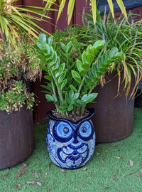 Gorgeous 14 inch Tall Owl Flower Pot  Talavera Ceramic Planter, Handmade Pottery  Outdoor Garden Decor, Indoor Home Decor  Unique Gift for Birders from https://luv2brd.etsy.com