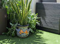 Potted snake plant with decorative pot on a green surface