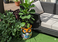 Gorgeous 14 inch Owl Flower Pot Ceramic Planter, Handmade Talavera Pottery is Outdoor Garden Decor or Indoor Home Decor, Unique Gift for Birders