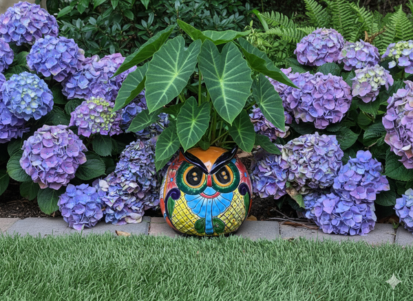 Talavera Planter, Colorful Owl Flower Pot, Ceramic Planter, Talvera Pottery, Indoor Outdoor Planter, Talavera Pot, Mexican Planter