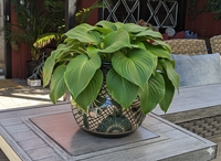 Captivating 10.5" Round Planter is a Talavera Ceramic Flower Pot | Handmade Pottery for Outdoor Garden Decor