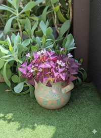 10.5" Round Emerald Planter is Ceramic Flower Pot, Handmade Mexican Pottery for Outdoor Decor or Indoor Home Decor