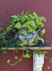 Captivating 10.5" Round Planter is a Talavera Ceramic Flower Pot | Handmade Pottery for Outdoor Garden Decor