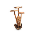 Hand Carved Jumbo Wooden Magical Mushroom, Garden Sculpture Outdoor Decor