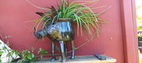 Warthog Planters from Zimbabwe, Made of Recycled African Cooking Pots, Housewarming Gift for Her