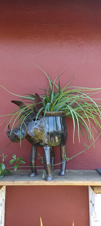 Warthog Planters from Zimbabwe, Made of Recycled African Cooking Pots, Housewarming Gift for Her