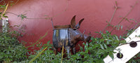 Warthog Planters from Zimbabwe, Made of Recycled African Cooking Pots, Housewarming Gift for Her