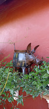 Warthog Planters from Zimbabwe, Made of Recycled African Cooking Pots, Housewarming Gift for Her