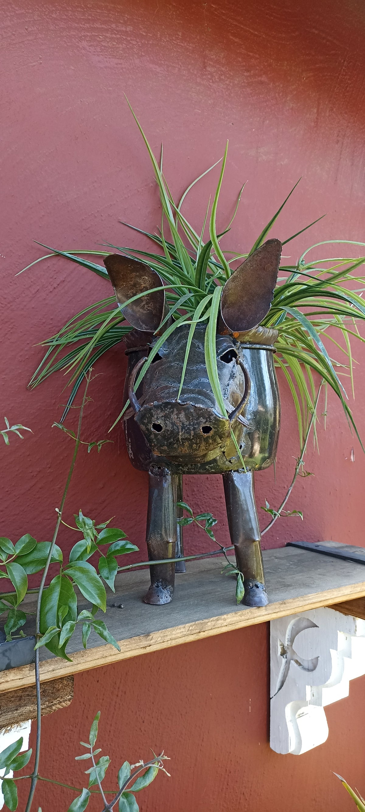 Warthog Planters from Zimbabwe, Made of Recycled African Cooking Pots, Housewarming Gift for Her