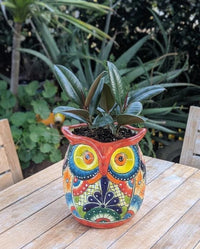 Outdoor Owl Planter | 11.5" Tall Talavera Ceramic Flower Pot | Handmade Mexican Pottery Gift