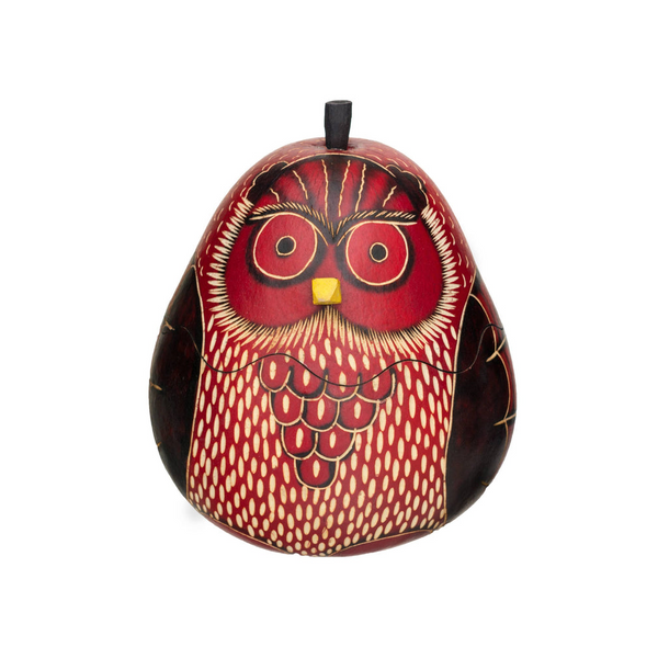 Spotted Owl Gourd Box, Carved Art, Handmade Owl Art, Owl Gift - Medium