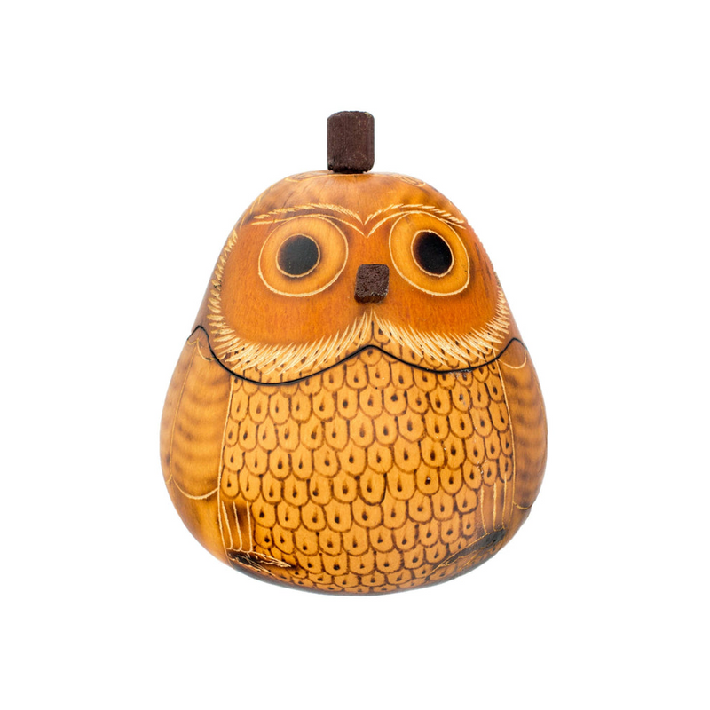 Owl Gourd Box, Owl Carved  Art, Handmade Owl Art, Owl Gift