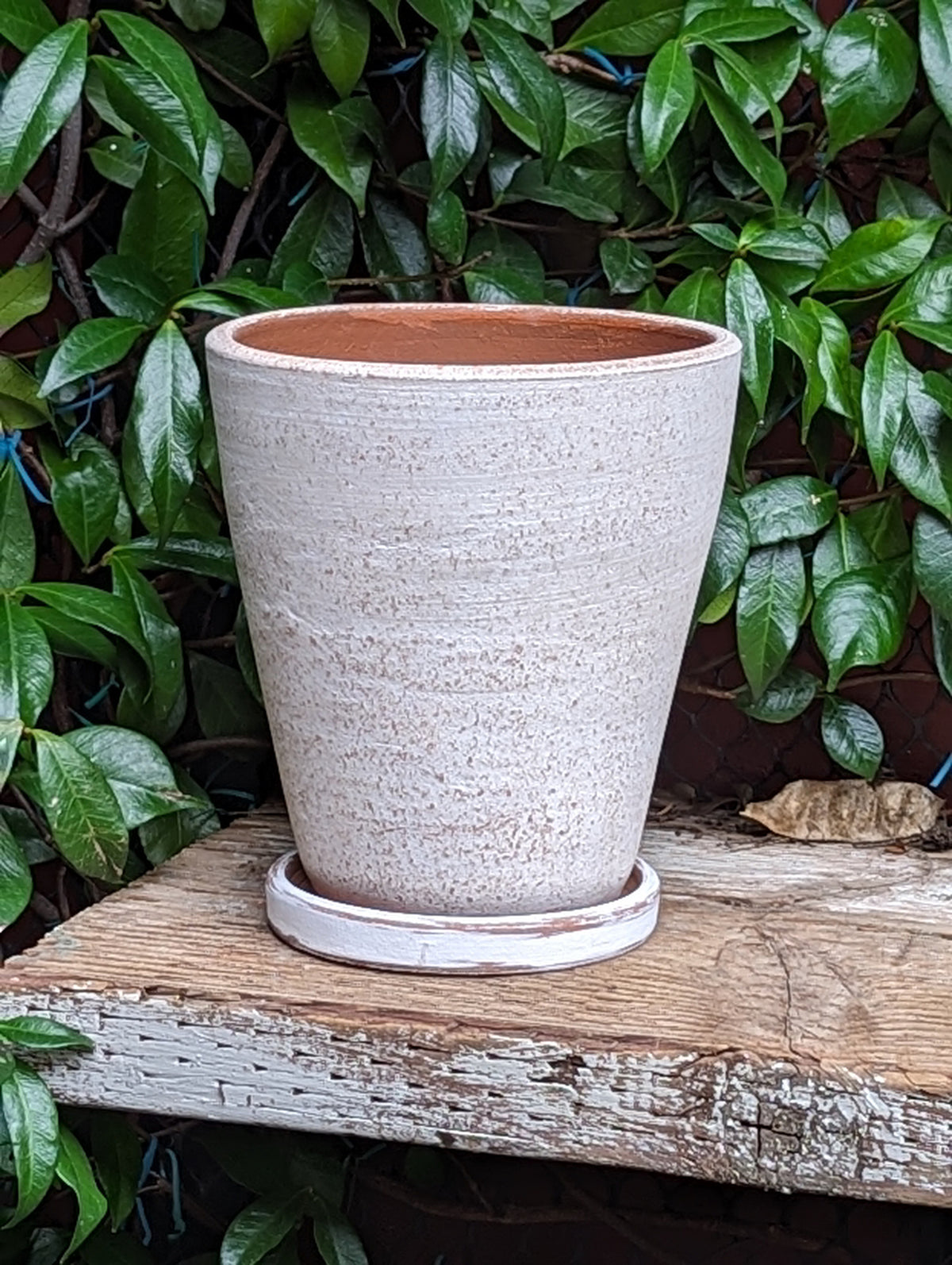 White-washed Terracotta Planter in Concrete Style with Drainage Plate, Cute Flower Pot from Nicaragua