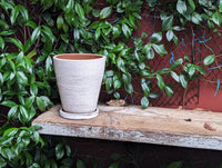 White-washed Terracotta Planter in Concrete Style with Drainage Plate, Cute Flower Pot from Nicaragua