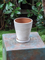 White-washed Terracotta Planter in Concrete Style with Drainage Plate, Cute Flower Pot from Nicaragua