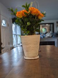 White-washed Terracotta Planter in Concrete Style with Drainage Plate, Cute Flower Pot from Nicaragua