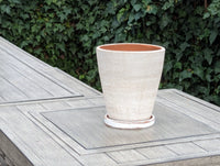 White-washed Terracotta Planter in Concrete Style with Drainage Plate, Cute Flower Pot from Nicaragua