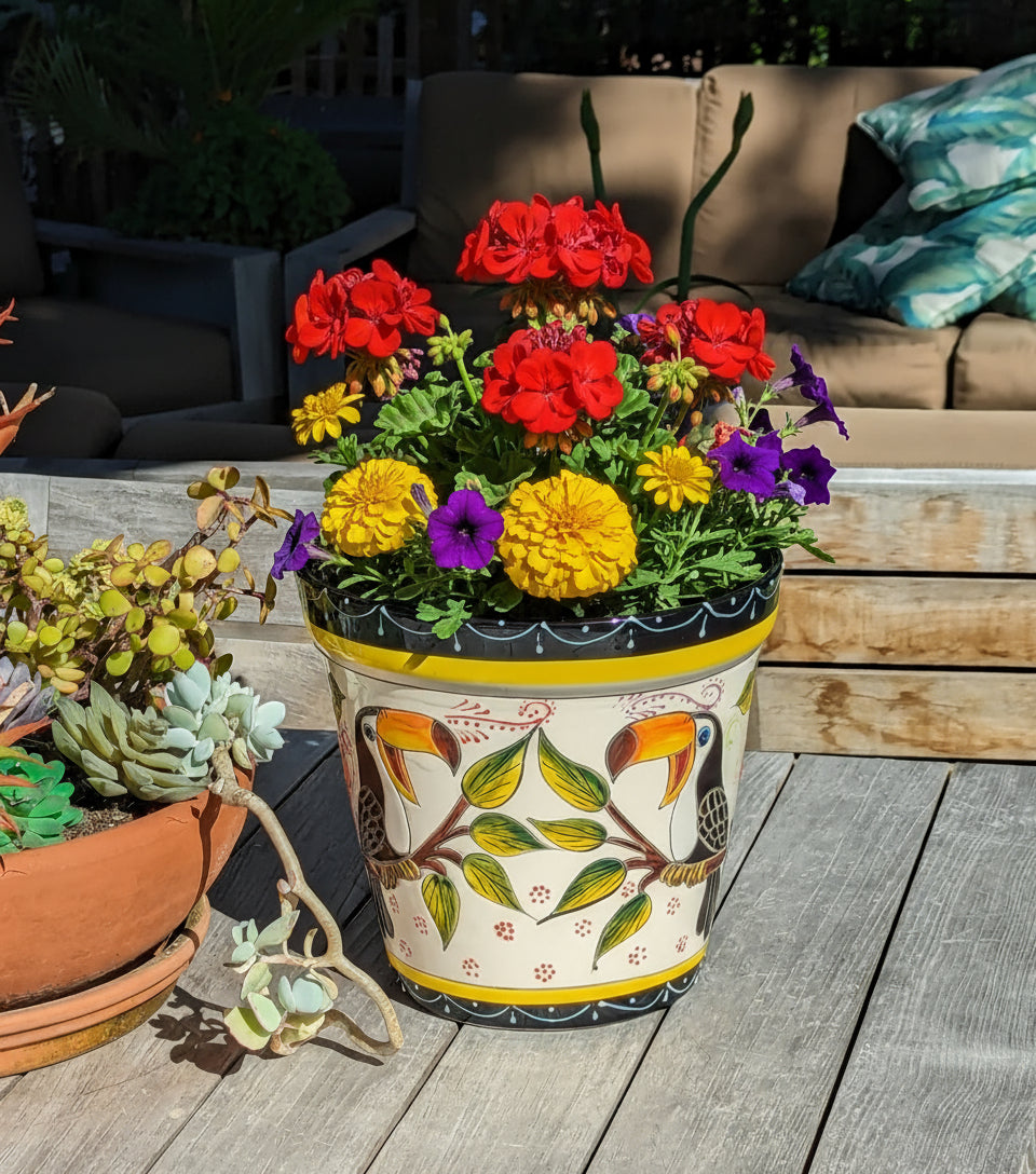 Toucan Flower Pot is Round Ceramic Planter Handmade in Mexico for Colorful Outdoor Garden Decor, or Bold Indoor Home Decor