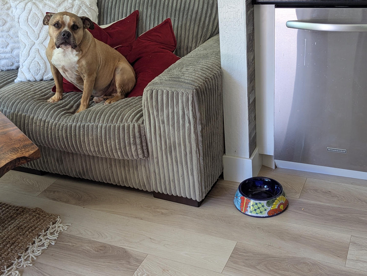 Round Talavera Dog Bowl | Hand Painted Mexican Ceramic Pet Food Dish | Pet Lover Gift