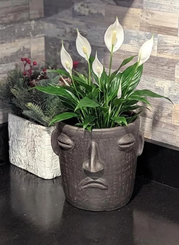Sad Face Planter | Handmade Pottery from Atzompa, Mexico