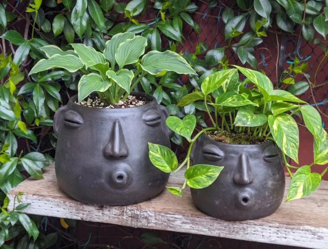 Whistler Face Planter is Handmade Mexican Pottery from Atzompa, Mexico, Home Decor, Indoor or Outdoor Decor