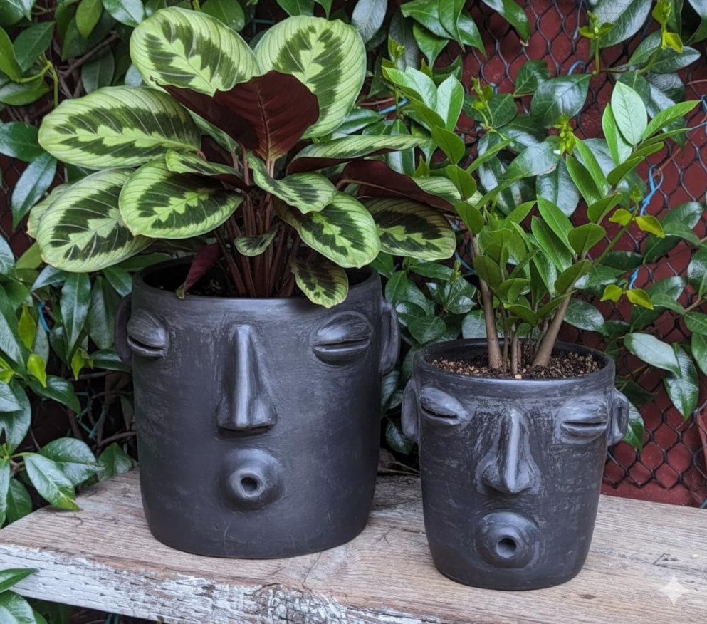 Whistler Planter & Black Flower Pot | Handmade Mexican Clay Pottery from Atzompa, Mexico