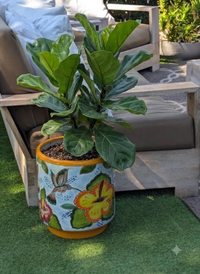 Hummingbird Planter | 14" Tall Handmade Talavera Ceramic Flower Pot  | Garden Gift