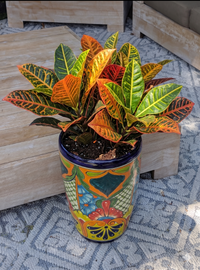 Talavera Planter | Hand-Painted Mexican Ceramic Flower Pot | Outdoor Garden Decor