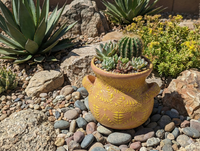 Decorative terracotta pot with succulents in a rocky garden setting