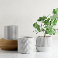 Bamboo Succulent Planter Set With Drip Tray | Unique Flower Pot, Home Decor Housewarming Gift for Her | Muted Green