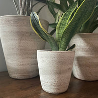 White-washed Terracotta Planter in Concrete Style with Drainage Plate, Cute Flower Pot from Nicaragua